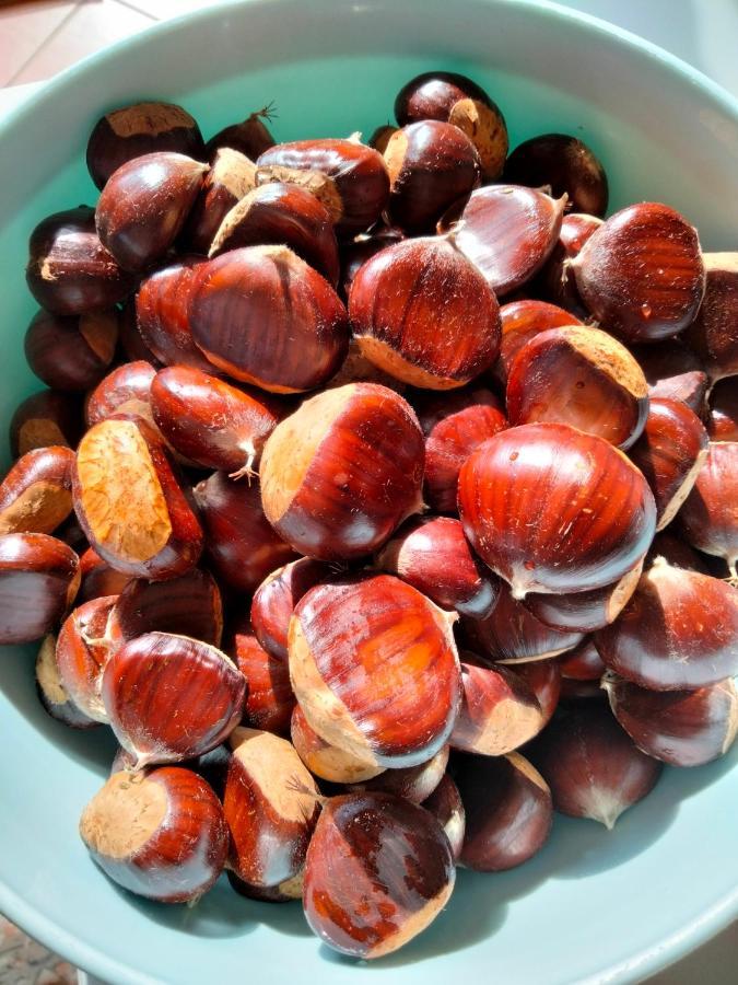Appartamento Azzurro Cannobio Kültér fotó